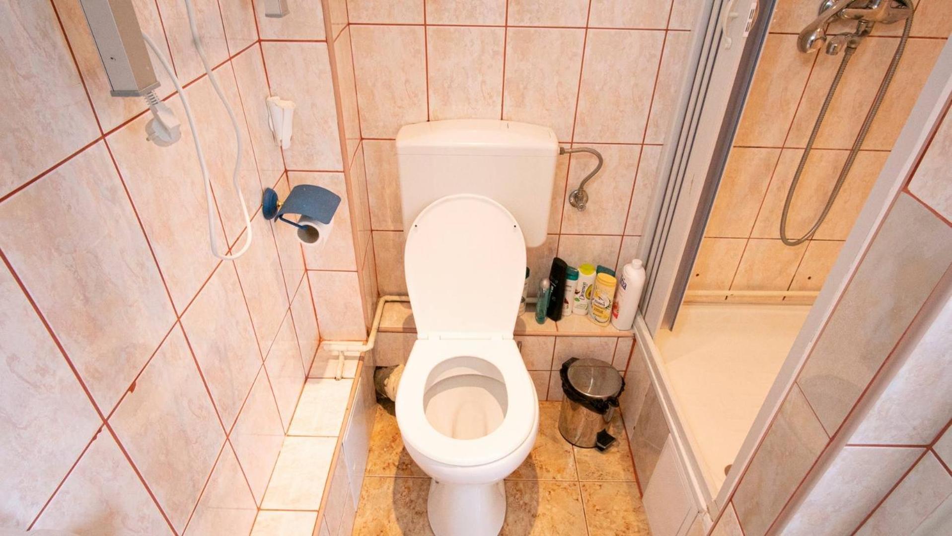 Piata Victoriei- 1 Room Apartment Тимишоара Екстериор снимка