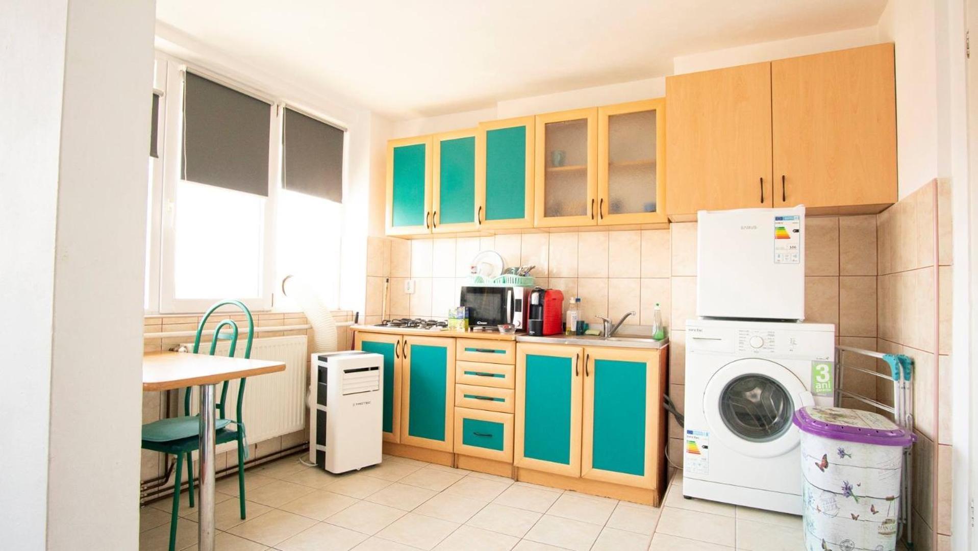 Piata Victoriei- 1 Room Apartment Тимишоара Екстериор снимка